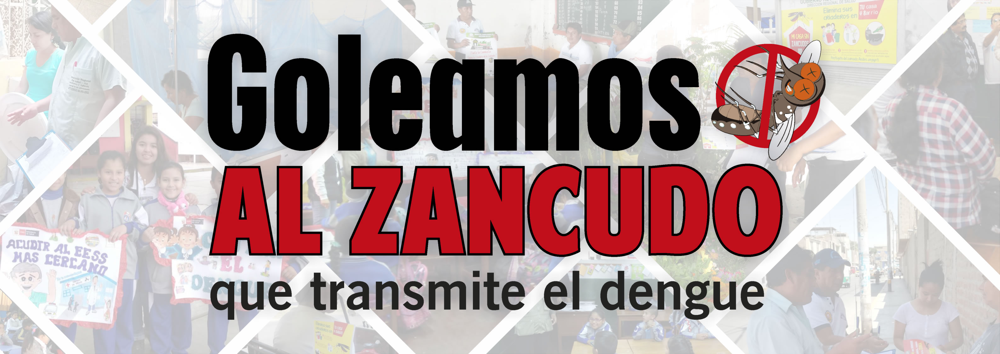 imagen 335