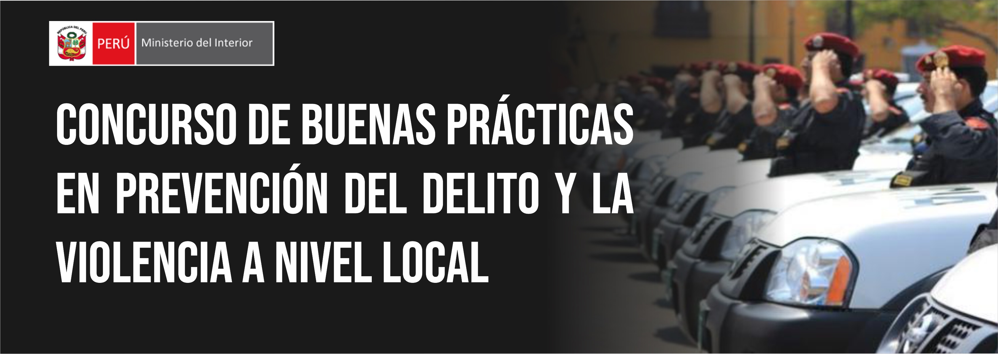 imagen 377