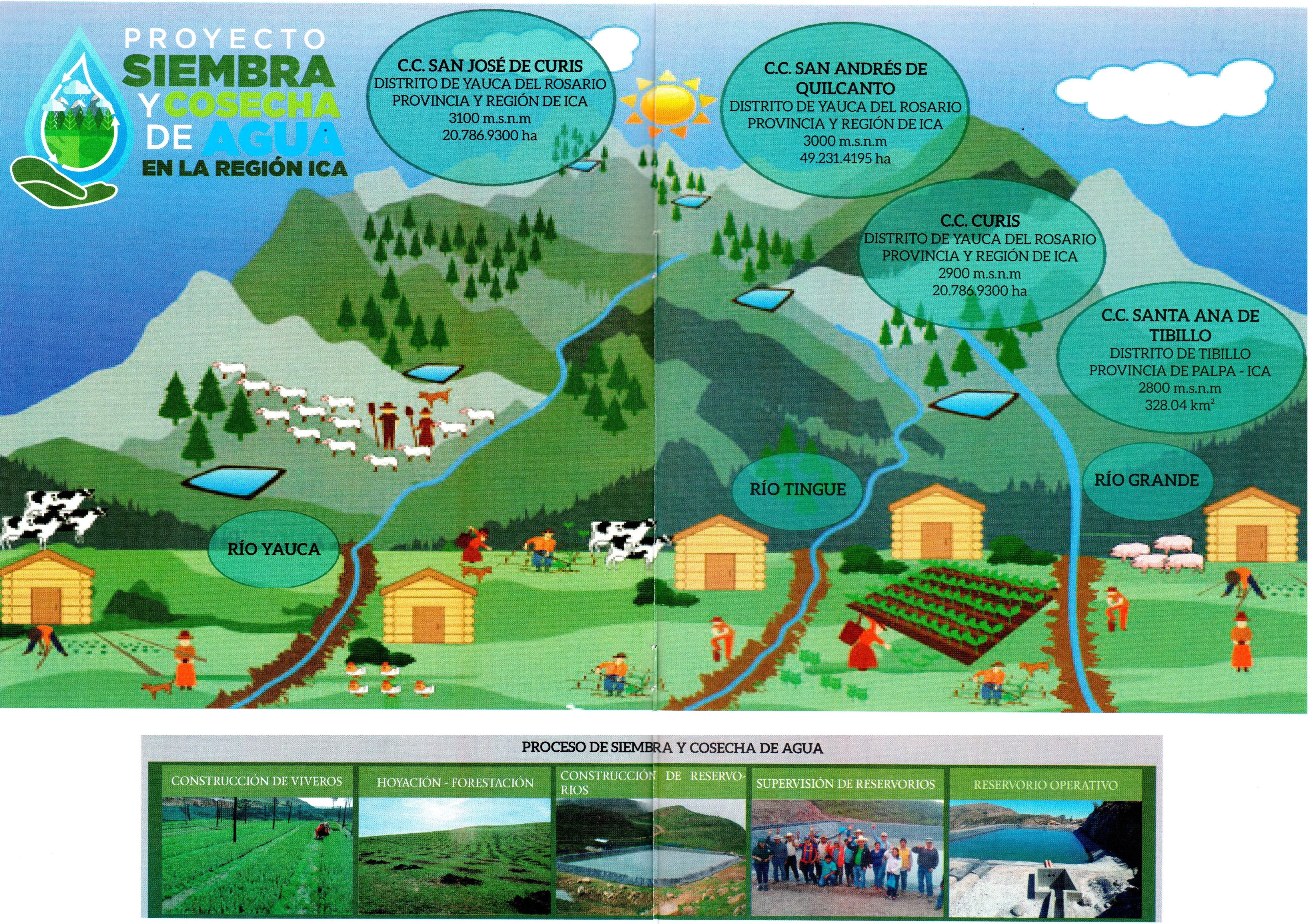 PROYECTO